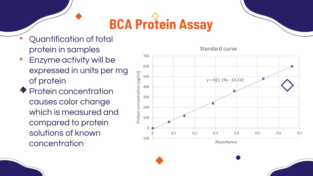 bca protein assay