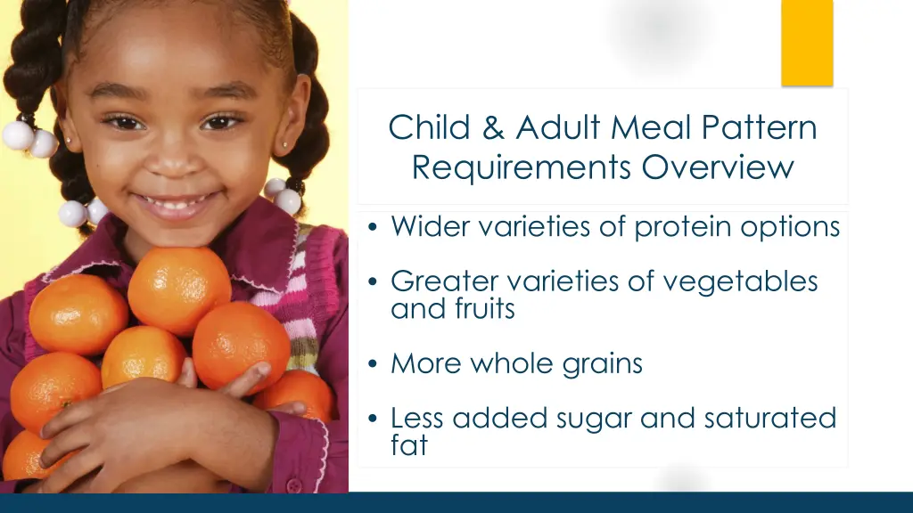 child adult meal pattern requirements overview