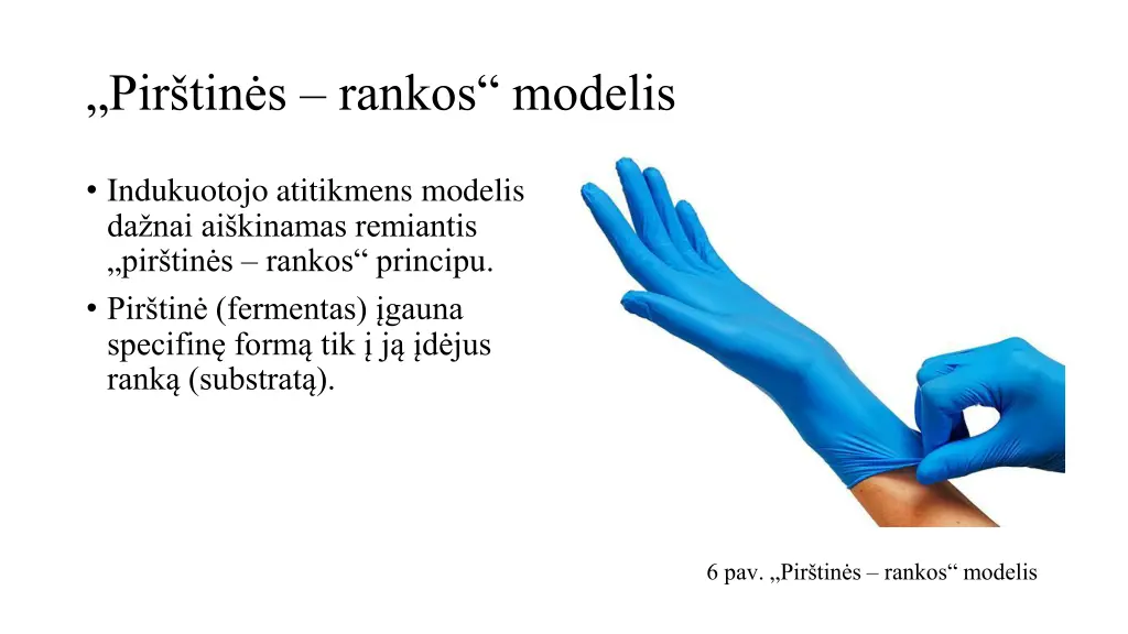 pir tin s rankos modelis