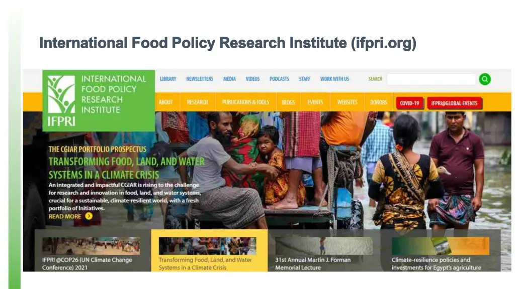 international food policy research institute