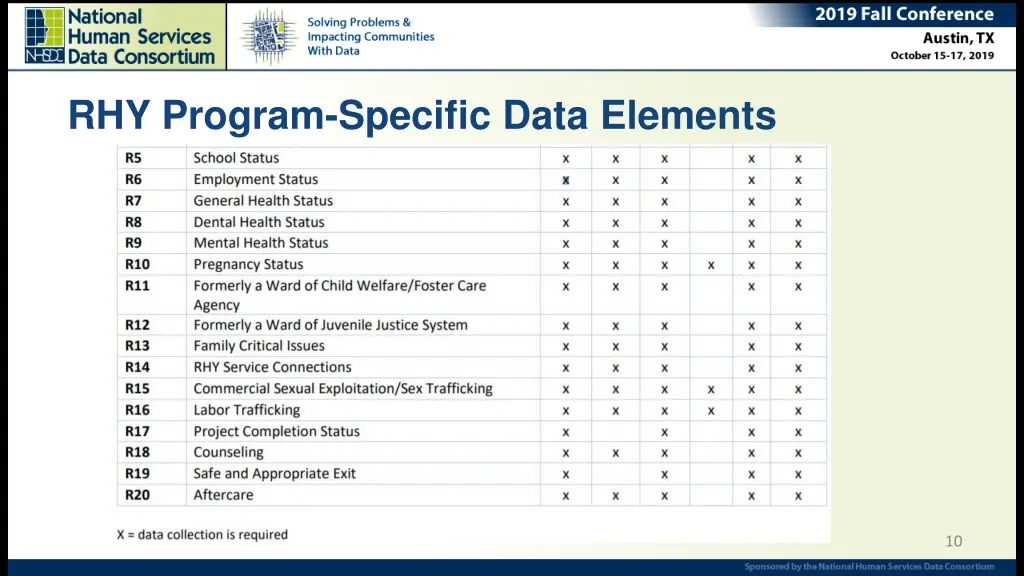 rhy program specific data elements 1