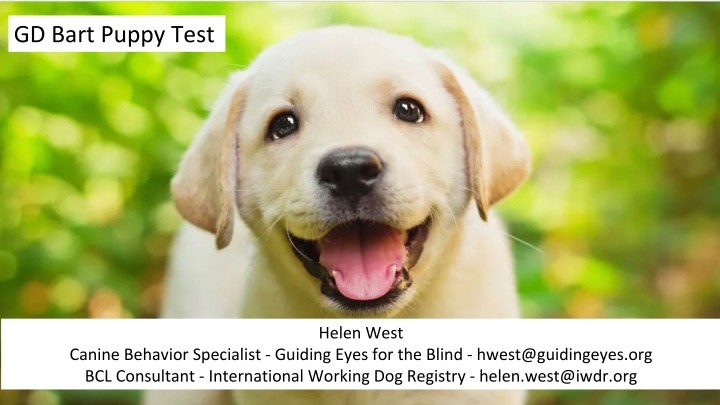 gd bart puppy test