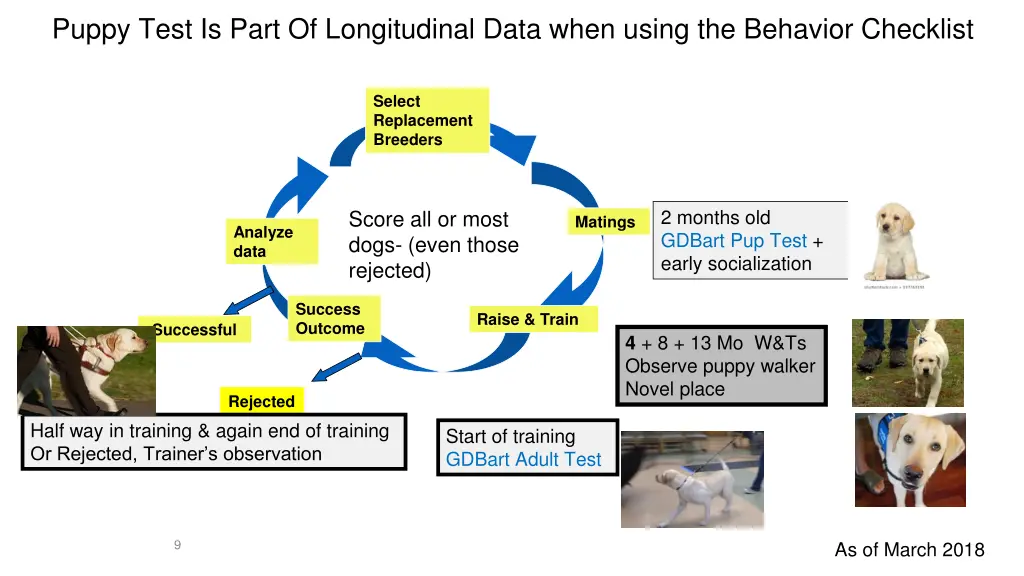 puppy test is part of longitudinal data when