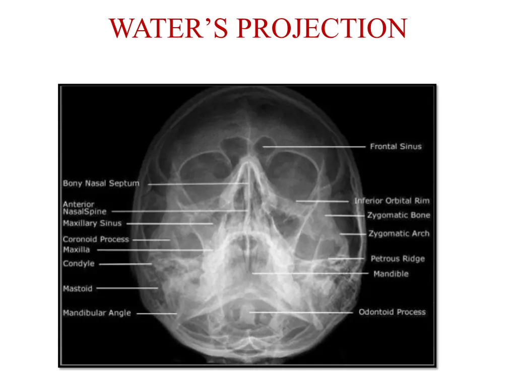 water s projection