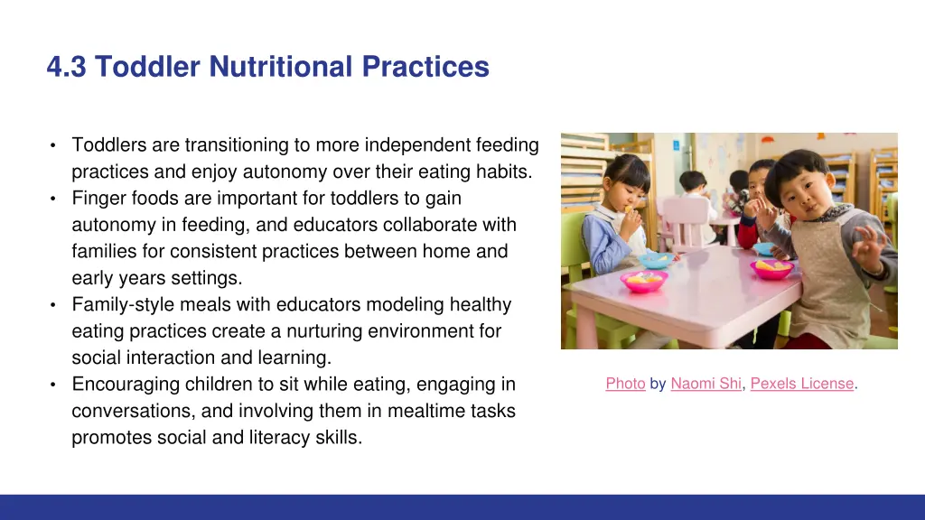 4 3 toddler nutritional practices