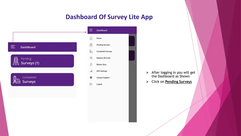 dashboard of survey lite app