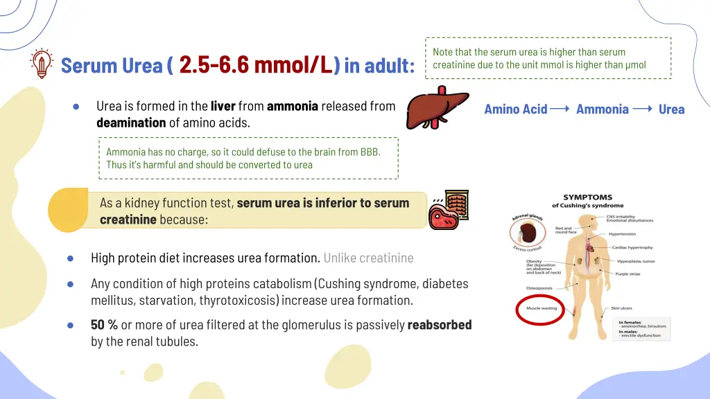 note that the serum urea is higher than serum