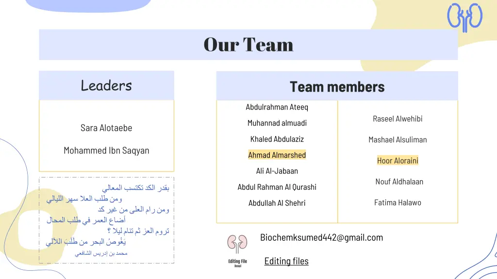 our team