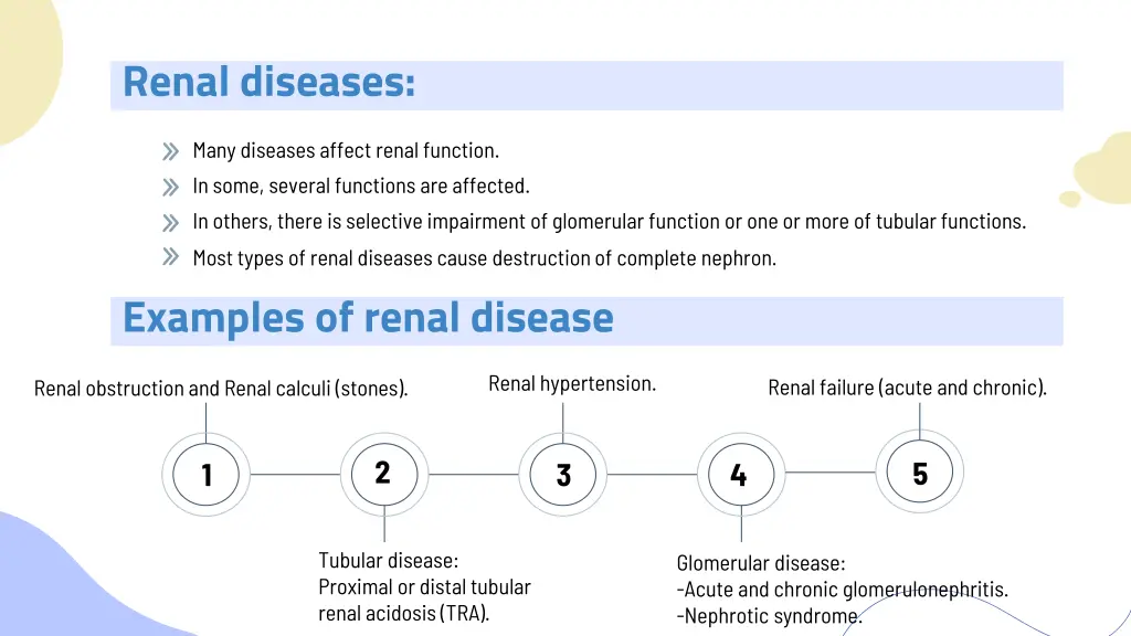 renal diseases