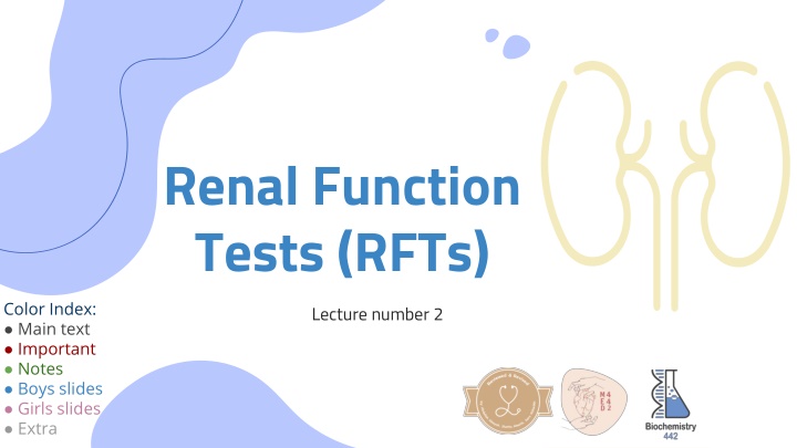 renal function tests rfts lecture number 2