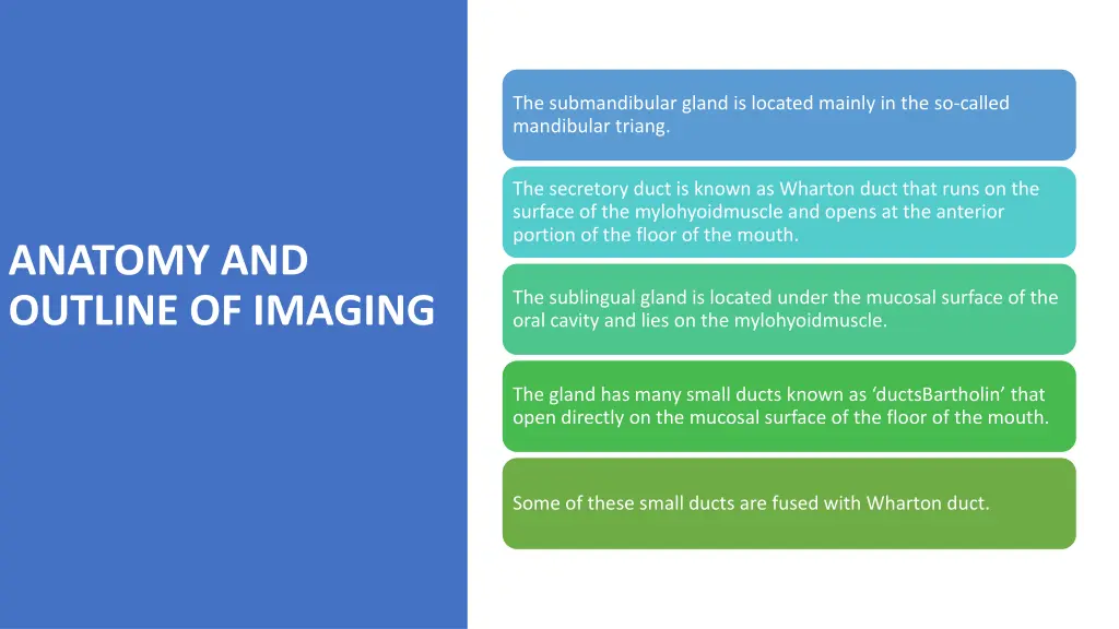 the submandibular gland is located mainly