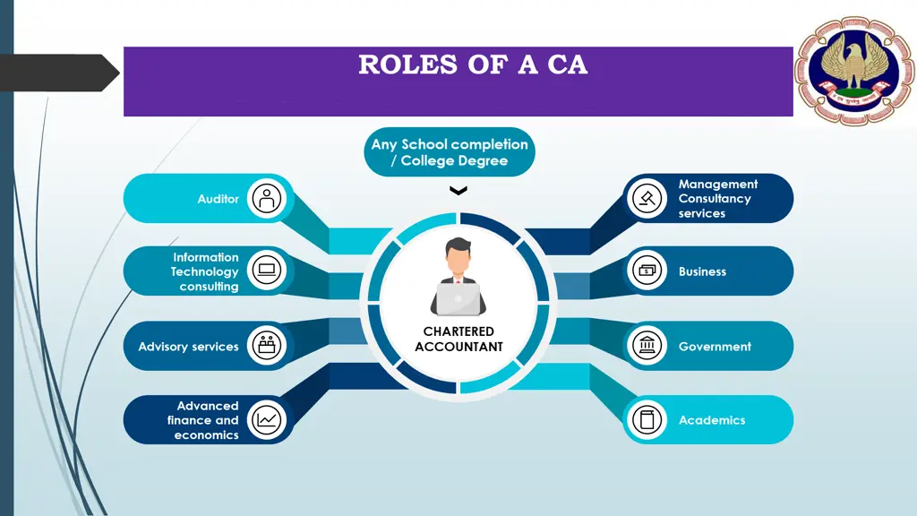 roles of a ca