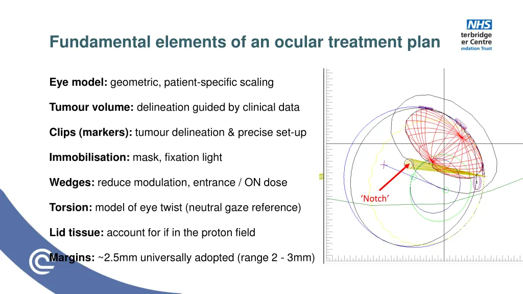 fundamental elements of an ocular treatment plan