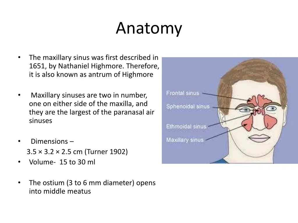 anatomy