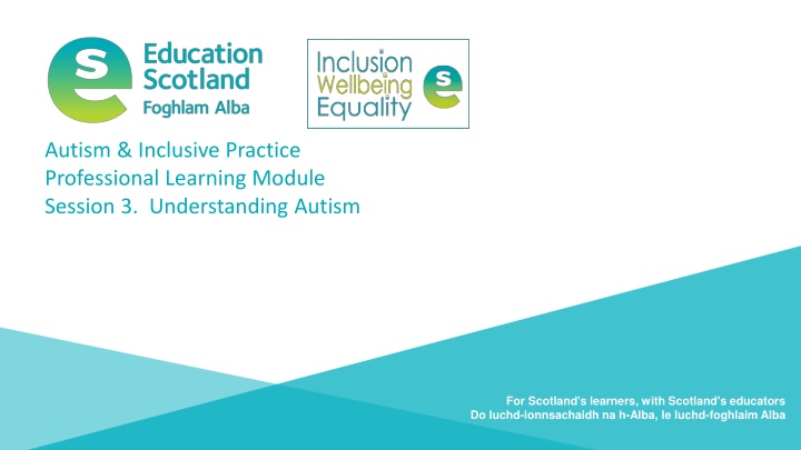 autism inclusive practice professional learning