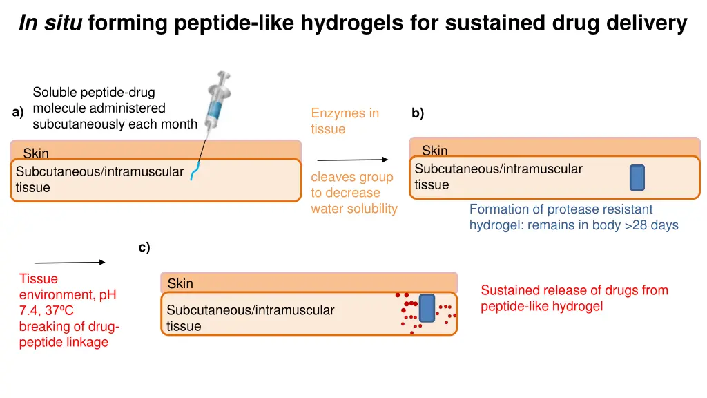 in situ forming peptide like hydrogels