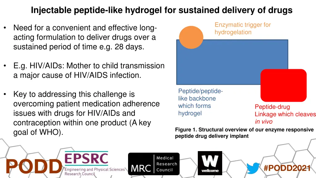 injectable peptide like hydrogel for sustained