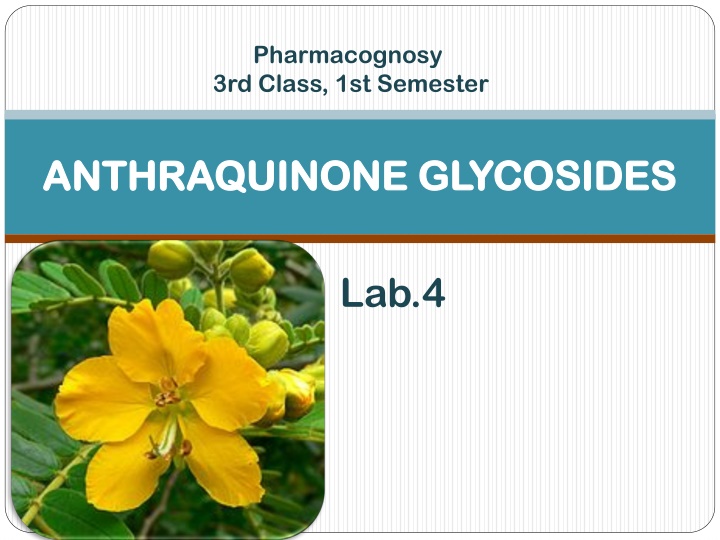 pharmacognosy 3rd class 1st semester