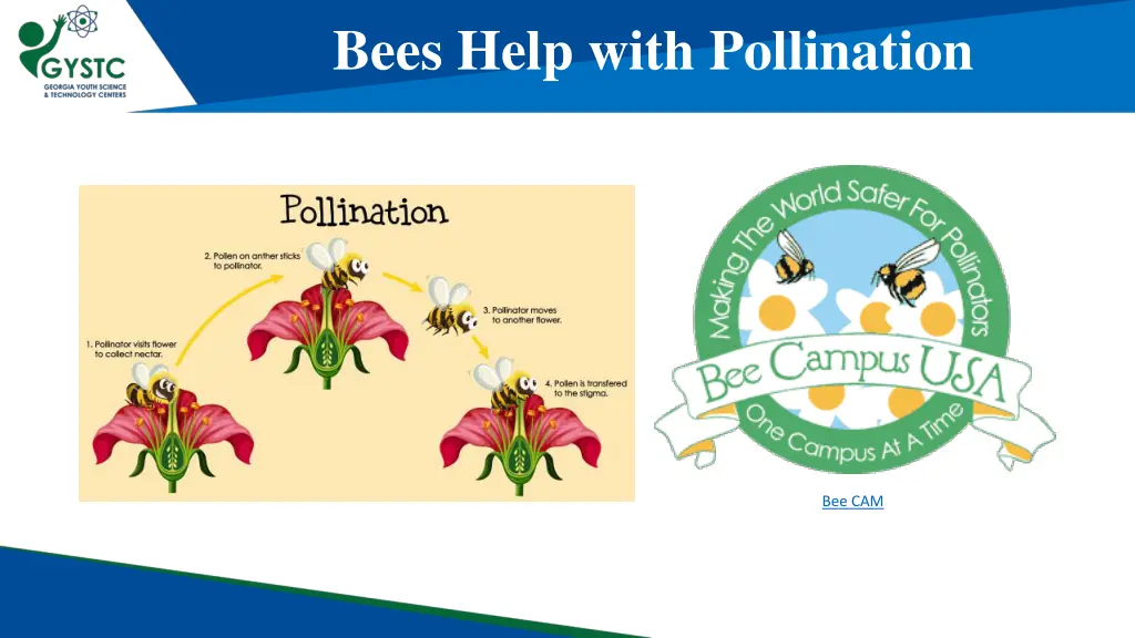 bees help with pollination