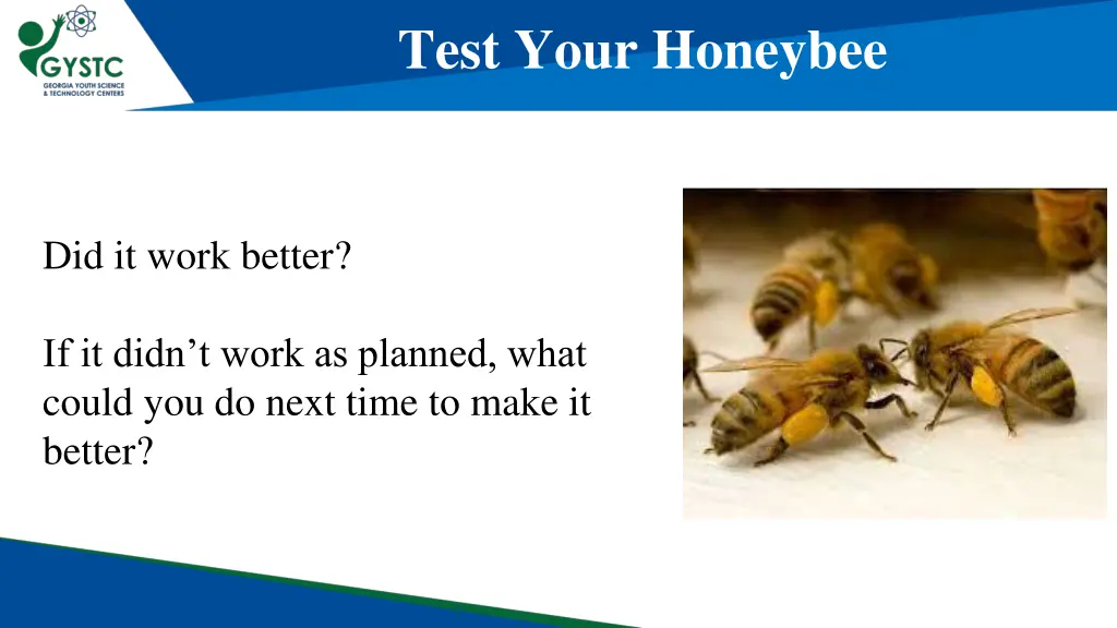 test your honeybee