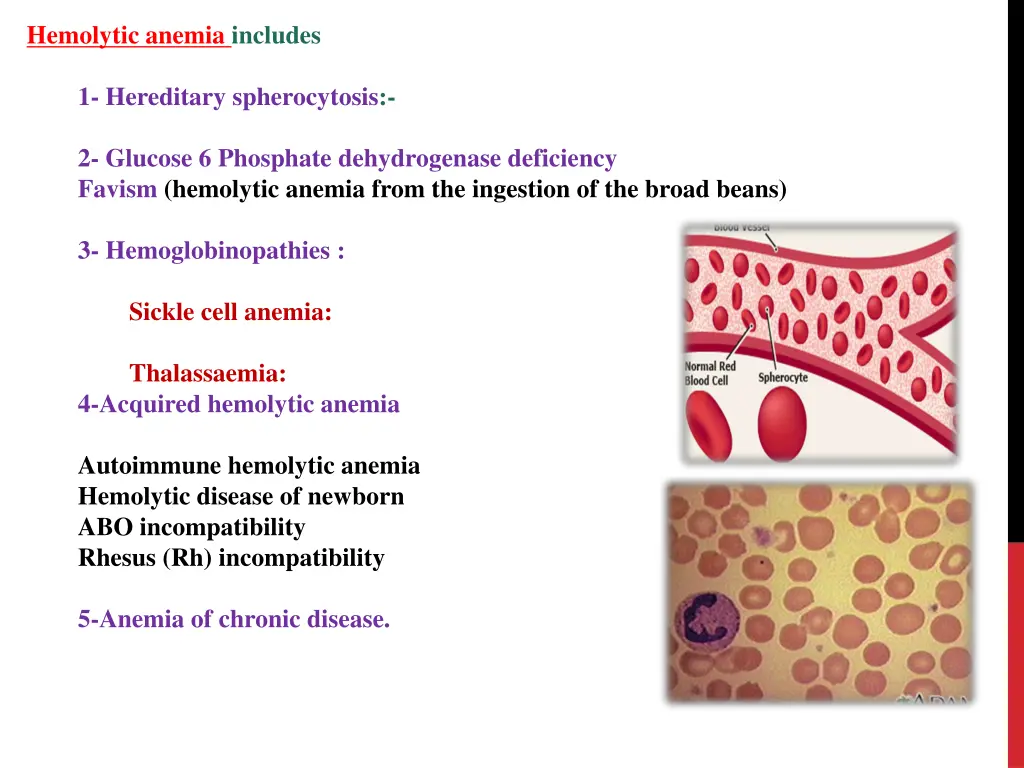 hemolytic anemia includes