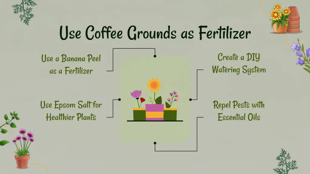 use coffee grounds as fertilizer