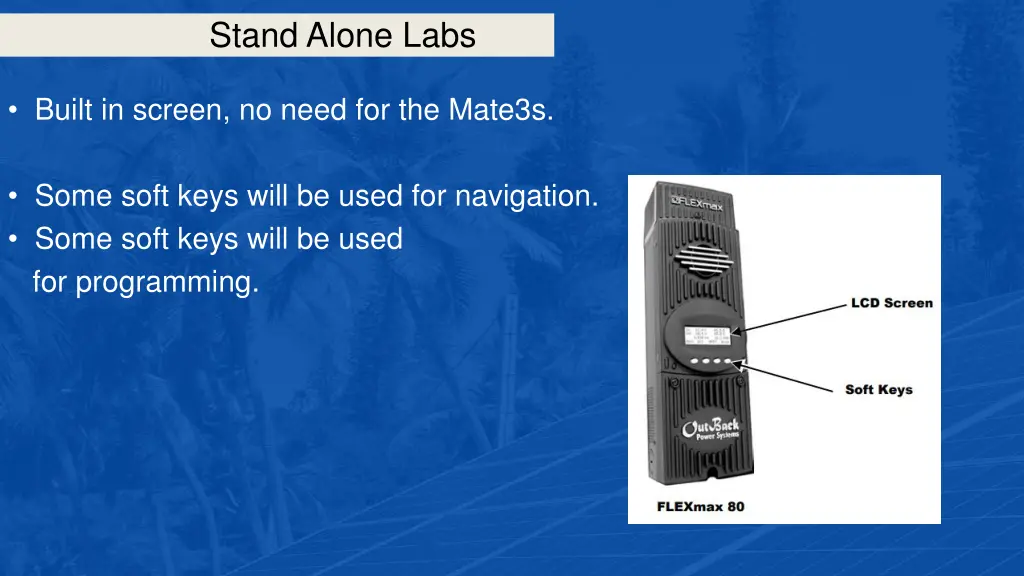 stand alone labs 31