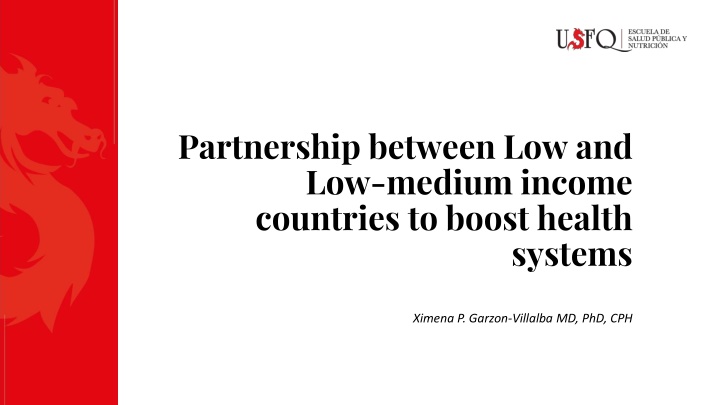 partnership between low and low medium income