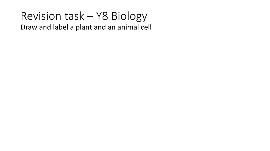 revision task y8 biology draw and label a plant