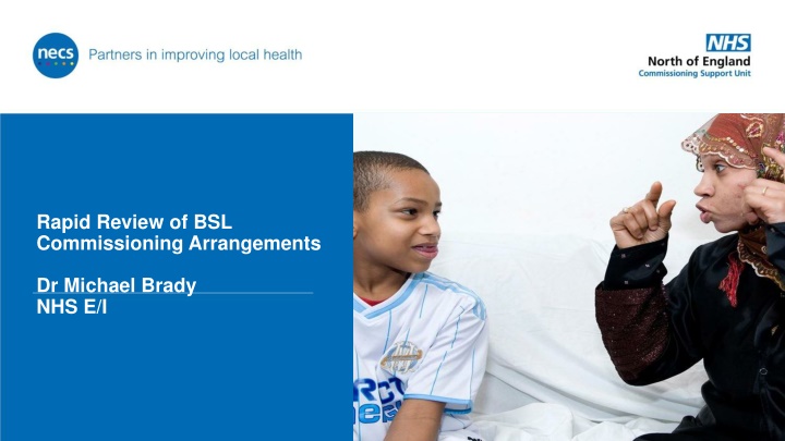 rapid review of bsl commissioning arrangements