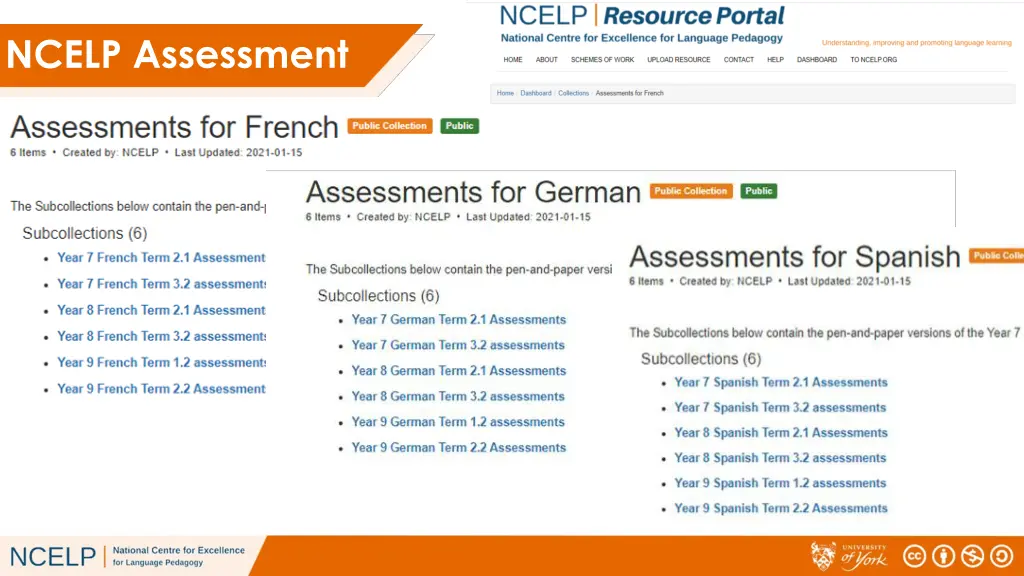 ncelp assessment