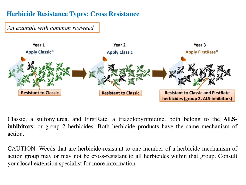 herbicide resistance types cross resistance