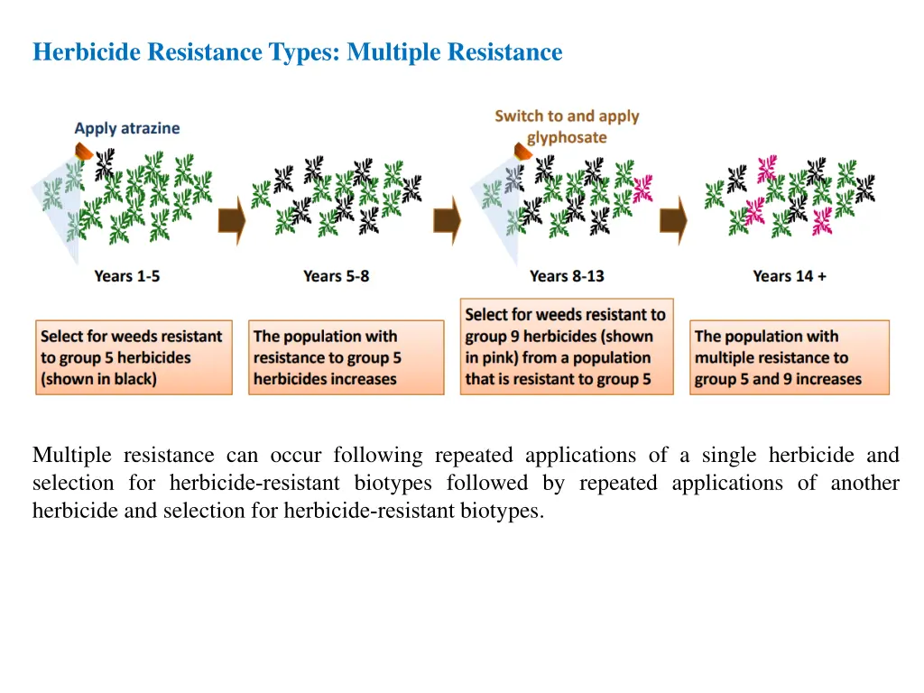 herbicide resistance types multiple resistance