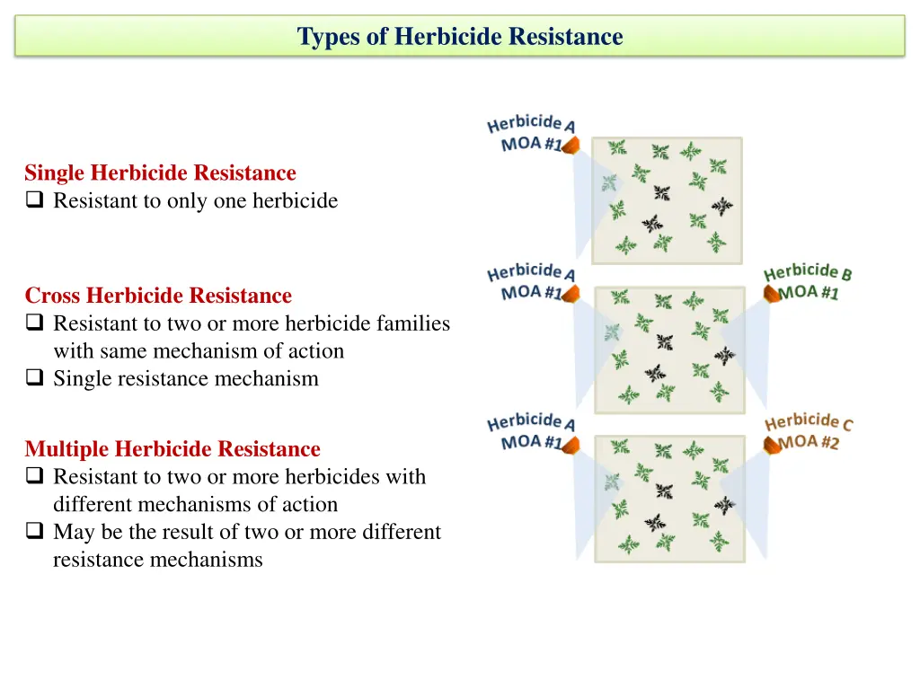 types of herbicide resistance