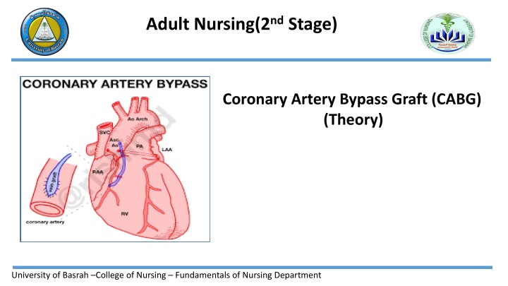 adult nursing 2 nd stage