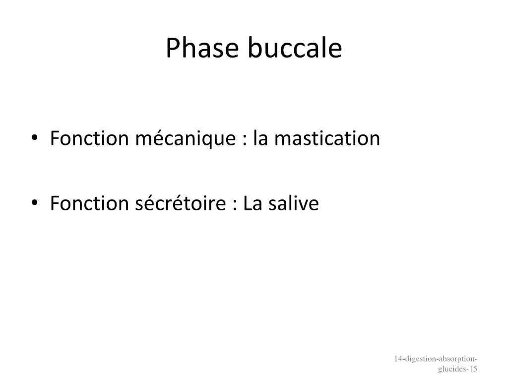 phase buccale