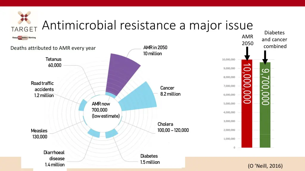 antimicrobial resistance a major issue