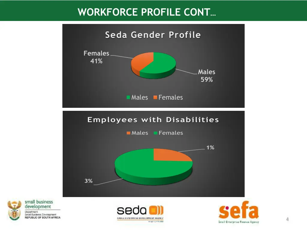 workforce profile cont 2