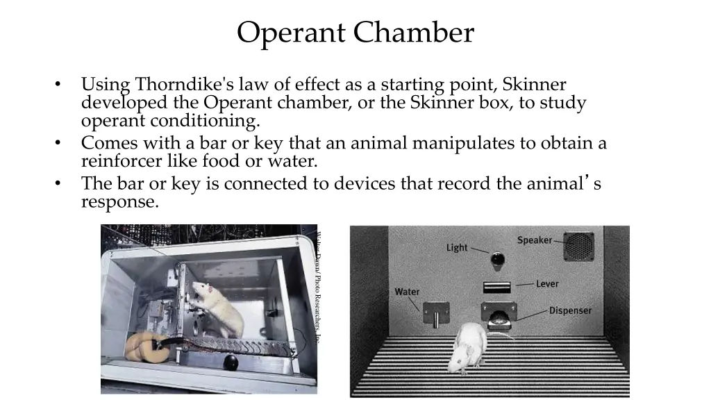 operant chamber