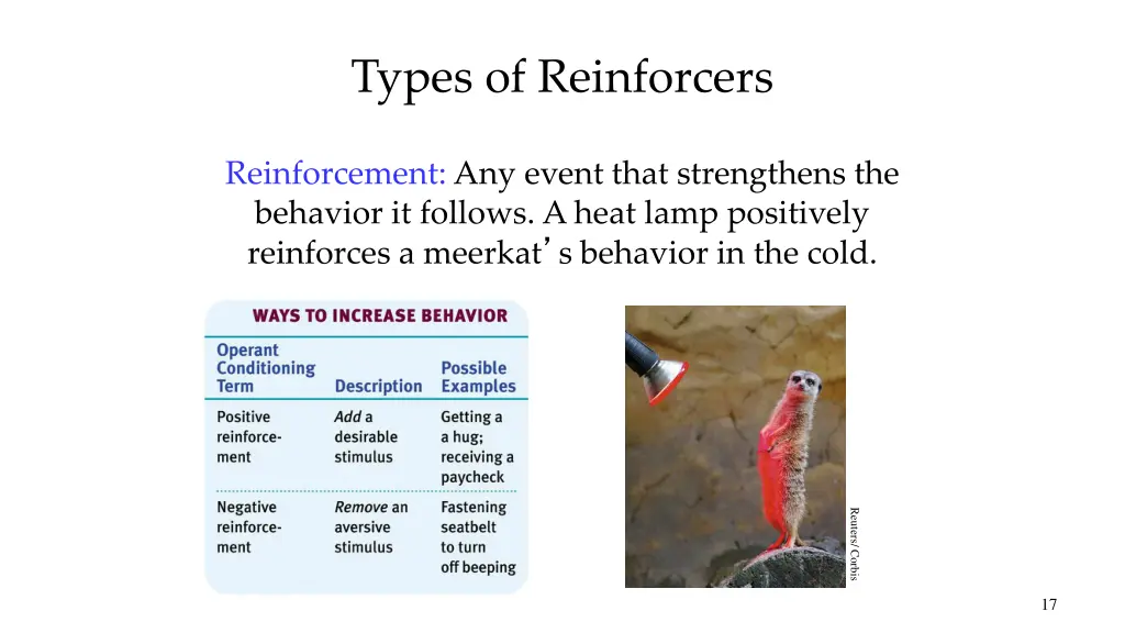 types of reinforcers