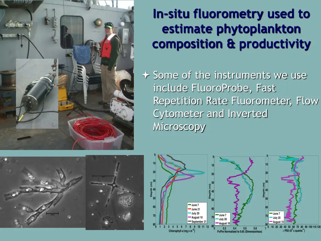 in situ fluorometry used to estimate