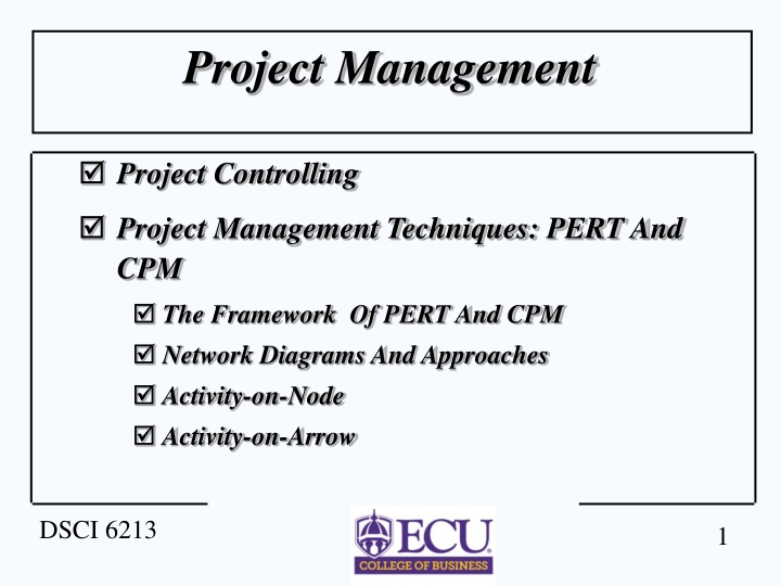 project management