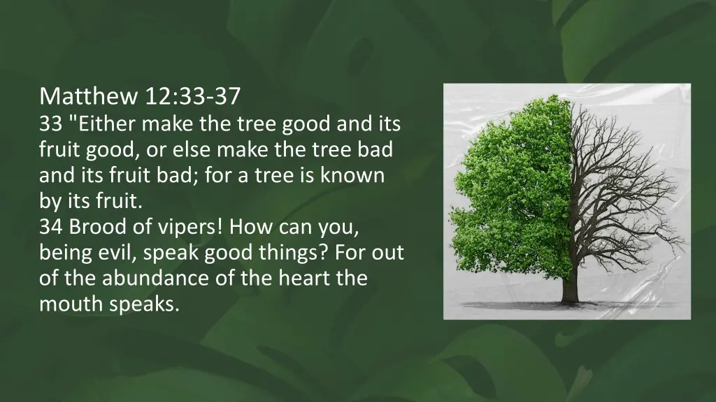 matthew 12 33 37 33 either make the tree good