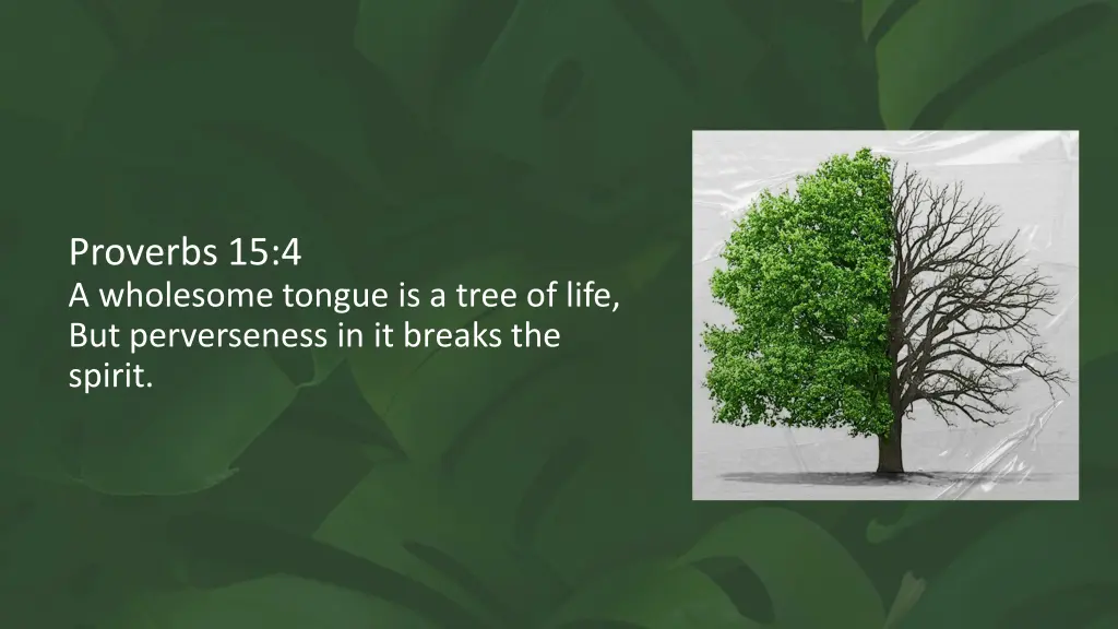 proverbs 15 4 a wholesome tongue is a tree