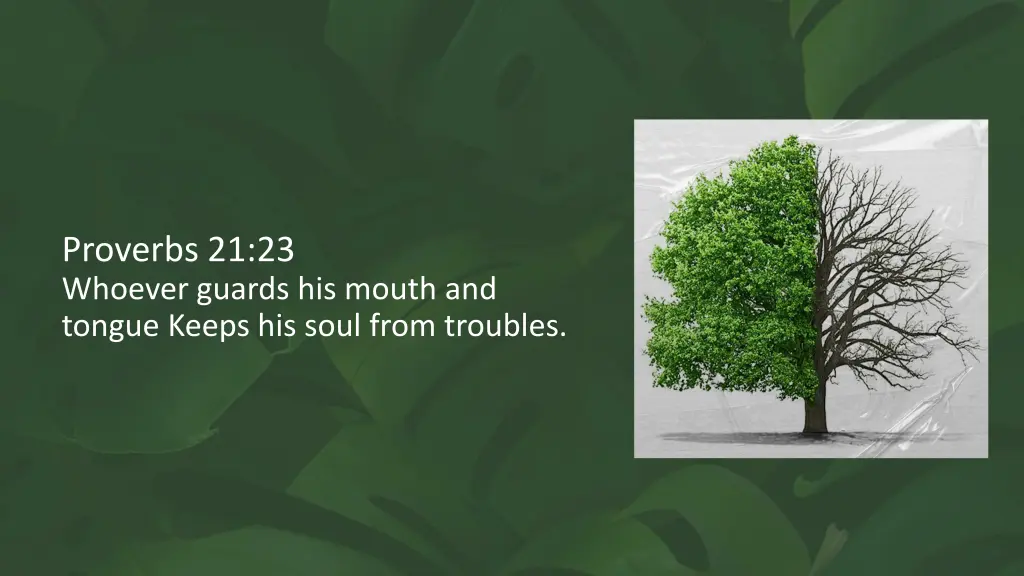 proverbs 21 23 whoever guards his mouth