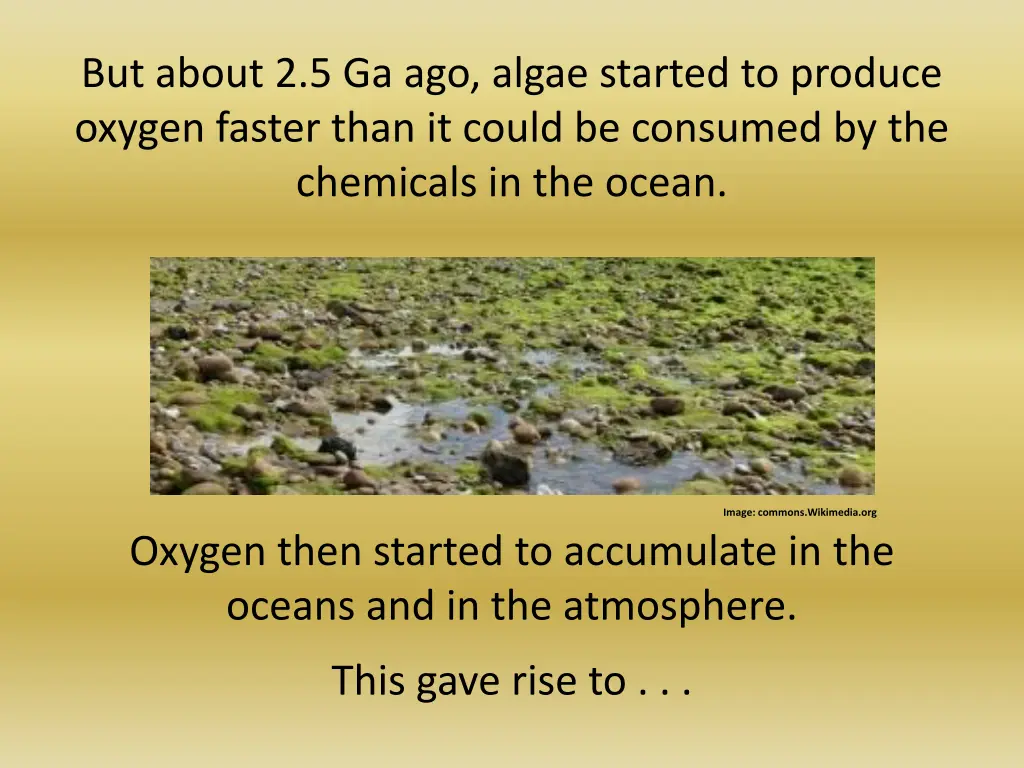 but about 2 5 ga ago algae started to produce