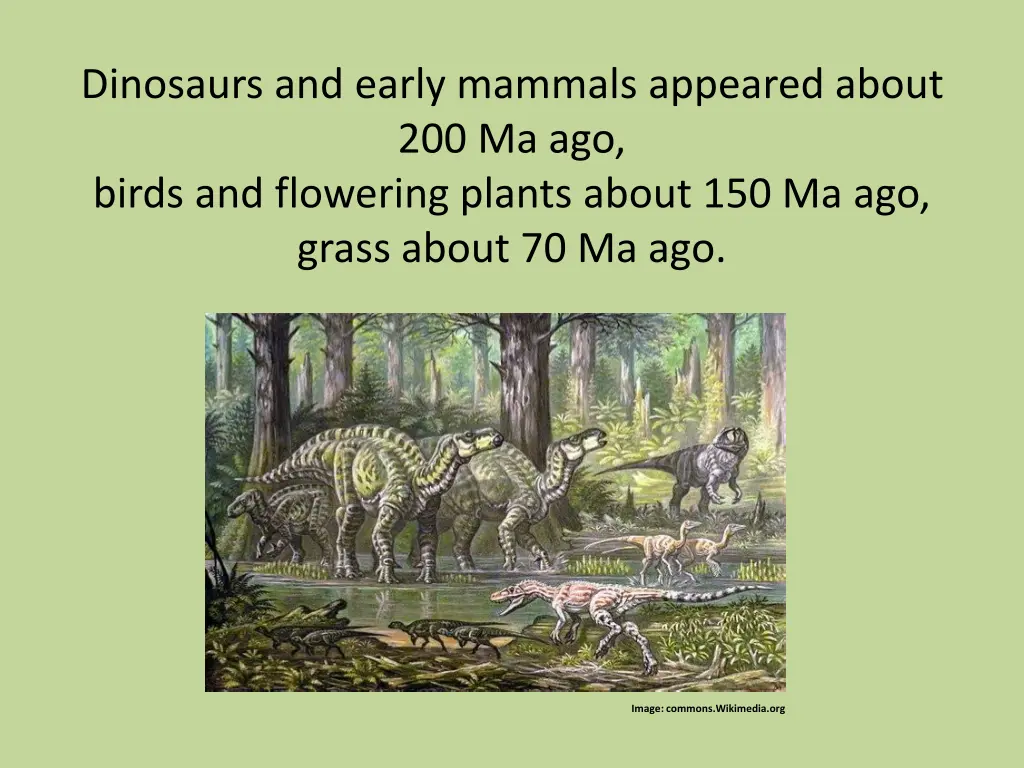dinosaurs and early mammals appeared about