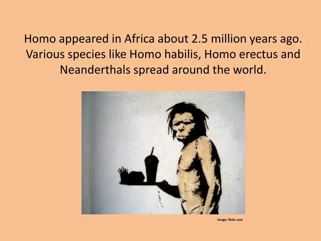 homo appeared in africa about 2 5 million years