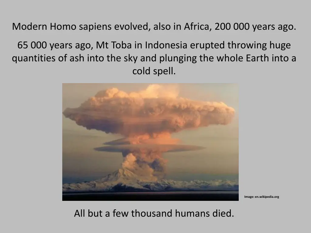 modern homo sapiens evolved also in africa