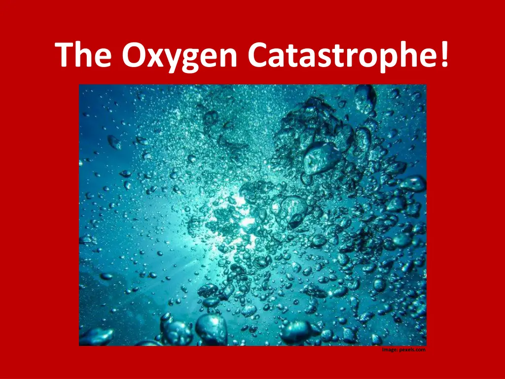 the oxygen catastrophe